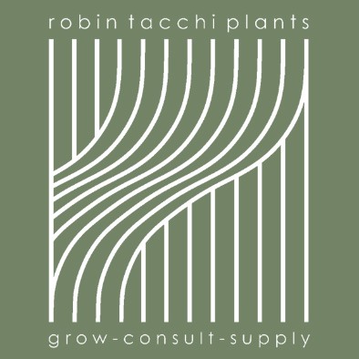 RTP Logo, Green 2025