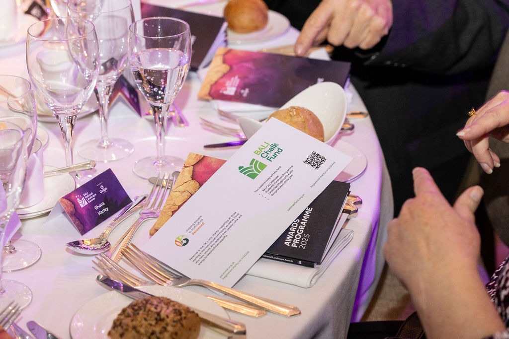 BALI Chalk Fund Donation Envelope 2025